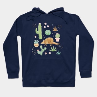 Armadillos in the Desert Hoodie